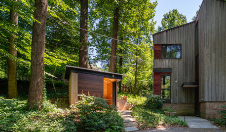 Stylish Shed Sits in a Woodland Garden Made to Slow Runoff