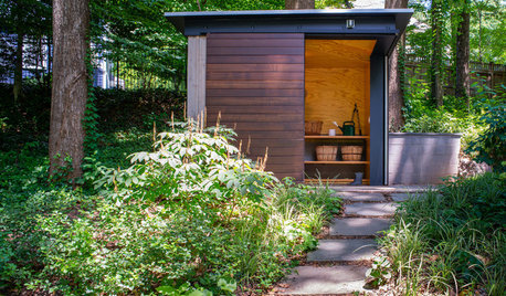 Trending: The Most Popular New Shed Photos in Summer 2018