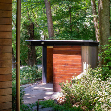 treehouse shed