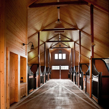 Wild Turkey Farm