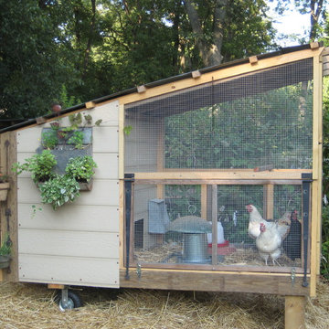 Zen chicken coop