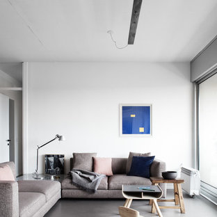 Esempio di un soggiorno nordico con sala formale, pareti bianche, pavimento in cemento e pavimento grigio