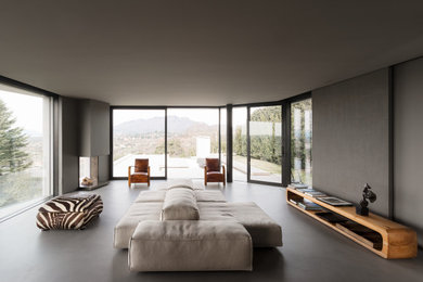 Foto di un soggiorno minimalista con pareti grigie, pavimento in cemento, camino ad angolo e pavimento grigio