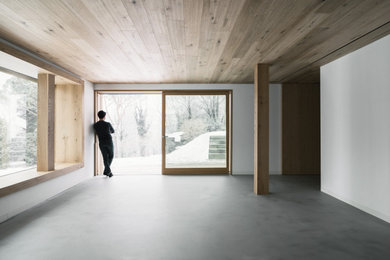 Foto di un soggiorno minimal di medie dimensioni con pareti bianche, parquet chiaro e soffitto in legno