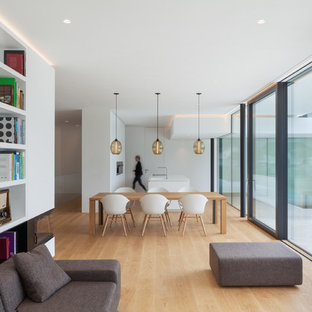 Immagine di un soggiorno minimalista aperto con pareti bianche, parquet chiaro, camino bifacciale, cornice del camino in intonaco, sala formale e pavimento beige