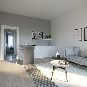 Milano grey flat - 60 mq