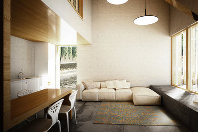 Immagine di un soggiorno moderno stile loft con pareti bianche e pavimento in cemento
