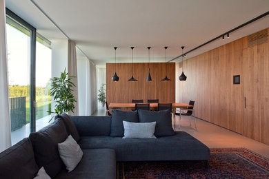 Ispirazione per un grande soggiorno design