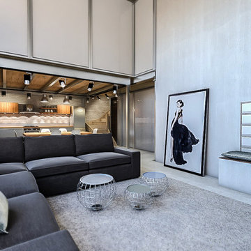 Two Modern Lofts - Industrial-chic Style