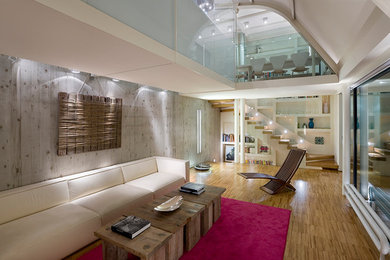 Ejemplo de sala de estar con biblioteca abierta contemporánea grande con paredes multicolor, suelo de madera en tonos medios y suelo marrón