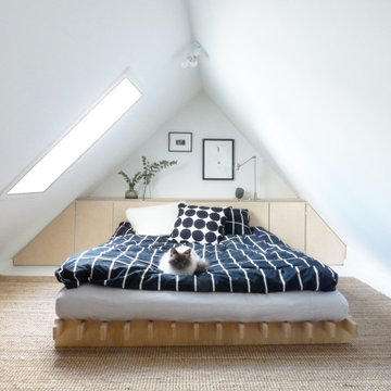 Norrebro - penthouse