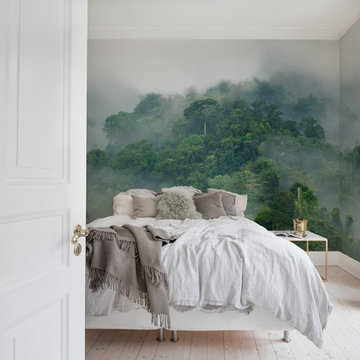 Misty Forest