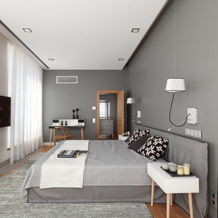 Foto de dormitorio principal, actual, grande, sin chimenea, con paredes grises, suelo de madera en tonos medios y suelo marrón