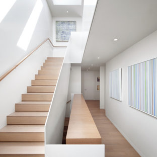 Foto di una scala a rampa dritta design di medie dimensioni con pedata in legno e alzata in legno