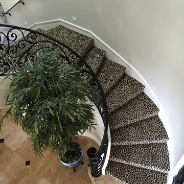 Animal Print Carpet, Rugs & Runners