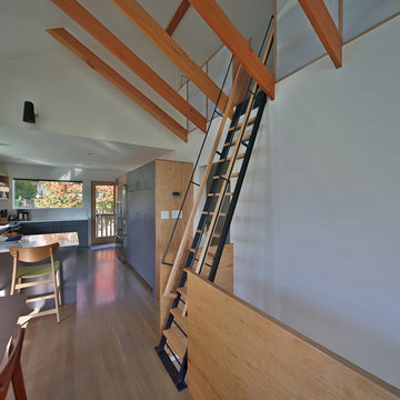 Ballard Whole House Remodel