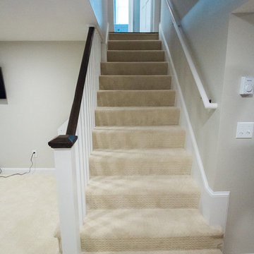 Basement Remodel