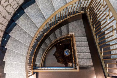 トランジショナルスタイルのおしゃれな階段 (金属の手すり) の写真