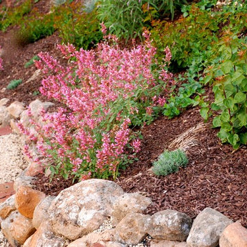 Berkley Landscape and Water Feature