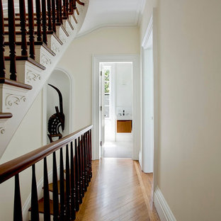 Mid-sized transitional wooden curved staircase photo in New York with wooden risers