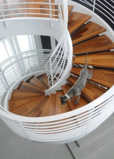 Contemporary Staircase by BROWN DAVIS ARCHITECTURE & INTERIORS