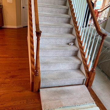 Carpeted Stairs Before