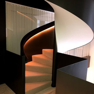 75 Beautiful Modern Carpeted Staircase Pictures Ideas November 2020 Houzz
