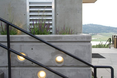 Cette image montre un grand escalier droit design en béton avec des contremarches en béton.