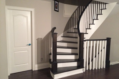 Contemporary dark and white contrast staircase
