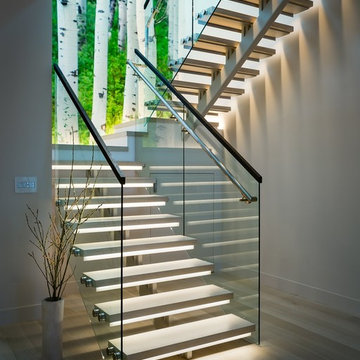 CONTEMPORARY - LOS ALTOS