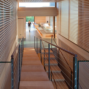 Contemporary Staircase