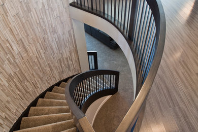 Minimalist carpeted curved staircase photo in Calgary with carpeted risers
