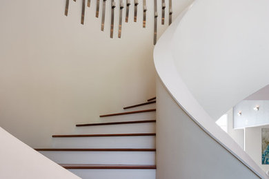 Staircase - mid-sized contemporary wooden curved wood railing staircase idea in Los Angeles with painted risers