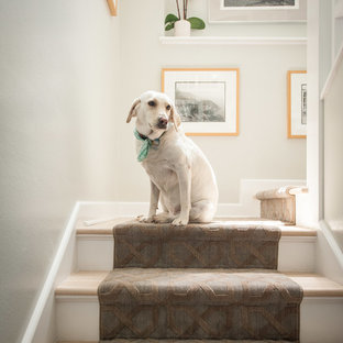 Example of a trendy staircase design in Austin