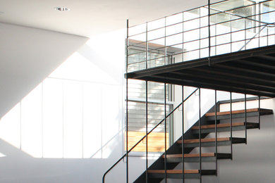 Staircase - contemporary staircase idea in Boston