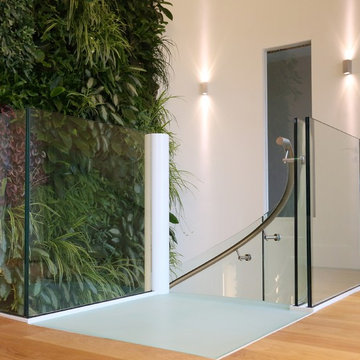 Glass staircase with junglewall in Amsterdam