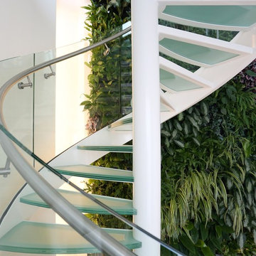 Glass staircase with junglewall in Amsterdam