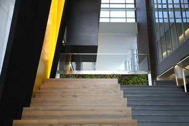 Modelo de escalera recta actual extra grande con escalones de madera, contrahuellas de madera y barandilla de vidrio