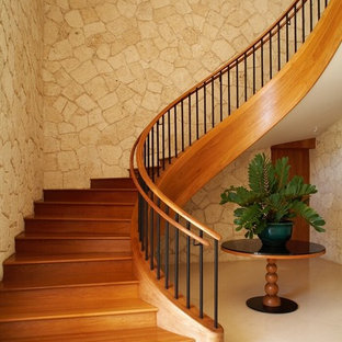 Aménagement d'un escalier courbe exotique avec des marches en bois et des contremarches en bois.