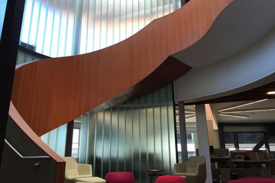 Staircase - huge modern wooden curved staircase idea in San Francisco with wooden risers