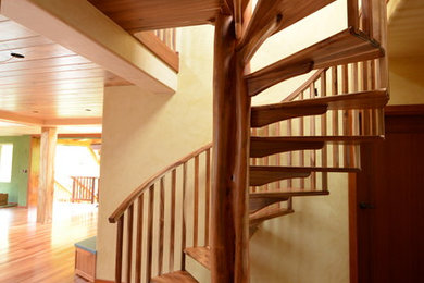 Large trendy wooden spiral open staircase photo in Hawaii