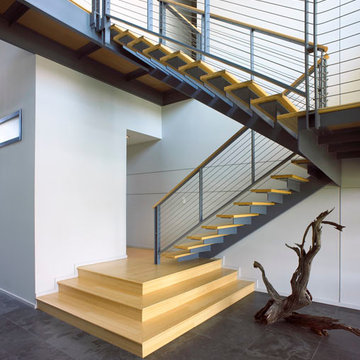 Lake Tarpon Residence