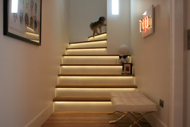 Photo of a medium sized modern staircase in Other.