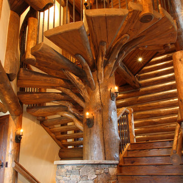 Log Elegance