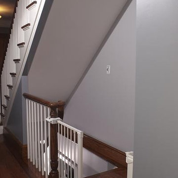 Lower Level Remodel "the family fun zone"