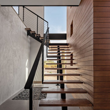 Paradise Valley Contemporary