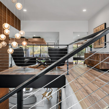 Paradise Valley Contemporary