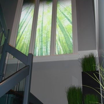 Printed window film, Bamboo forest, Smartfilms, Vancouver