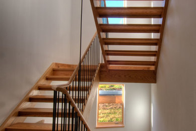 Foto de escalera en U contemporánea grande con escalones de madera