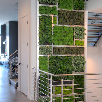 Private Mt. Adams Home Living Wall Installation